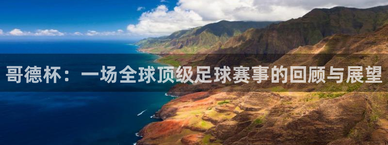 哥德杯：一场全球顶级足球赛事的回顾与展望