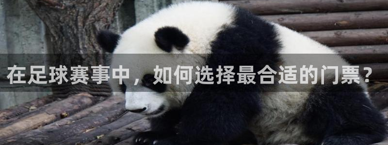 678体育基础综合：在足球赛事中，如何选择最合适的门票？