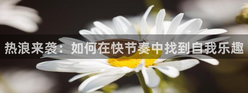 678体育直播官网入口网址：热浪来袭：如何在快节奏中找到自我