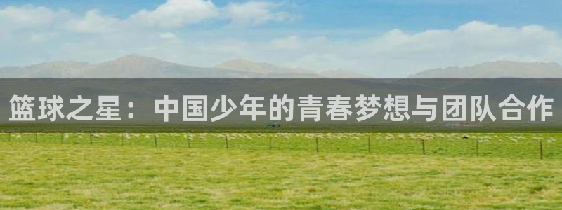  678体育直播官网：篮球之星：中国少年的青春梦想与团队合作