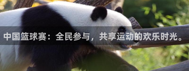  678体育现在改名了吗：中国篮球赛：全民参与，共享运动的欢乐
