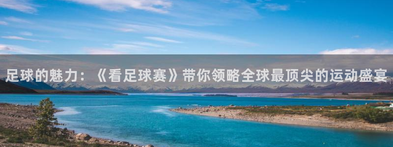 678体育app官网下载最新版本更新内容：足球的魅力：《看足