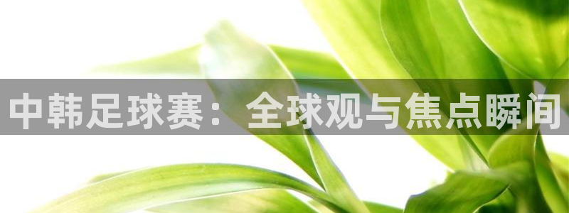  678体育学基础综合：中韩足球赛：全球观与焦点瞬间