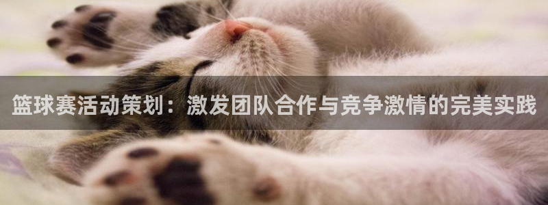  678体育直播官网入口网址：篮球赛活动策划：激发团队合作与竞